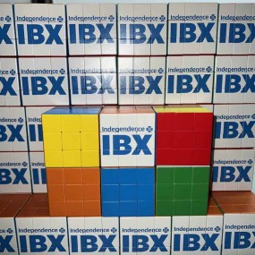 Cubo di Rubik Brandizzato con Stampa Professionale