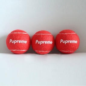 Palline da Tennis con Logo per Club, Aziende e Sponsori...