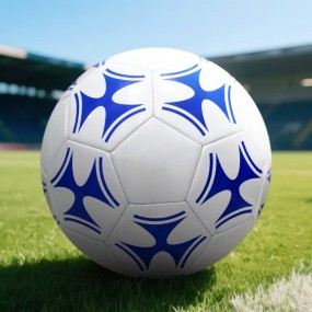 Stampa Logo su Palloni da Calcio | Gadget Aziendali Spo...