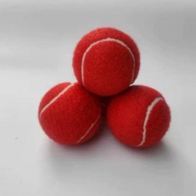 Palline da Tennis Personalizzate con Logo Aziendale | G...