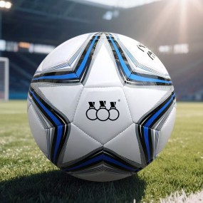 Palloni da Calcio Stampati con Logo Aziendale | Gadget ...